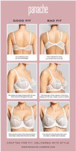 panache lingerie crafted for fit